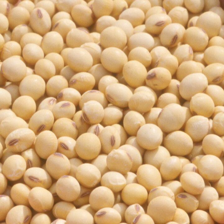 soybeans